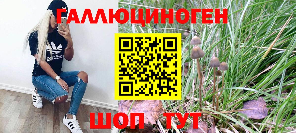 Псилоцибиновые грибы GOLDEN TEACHER Тамбов